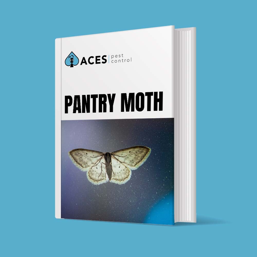 DIY pantry moth PEST CONTROL