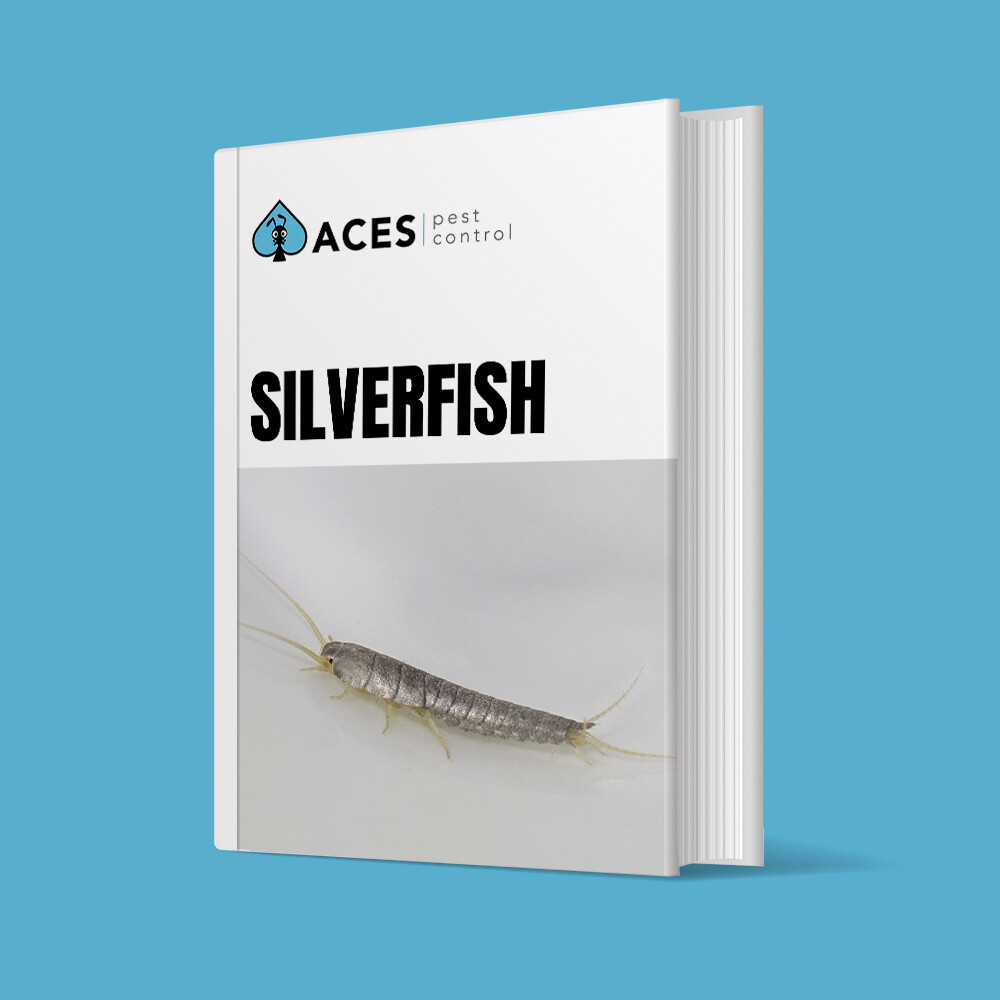DIY PEST CONTROL Silverfish