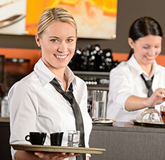 pest control auckland cafe