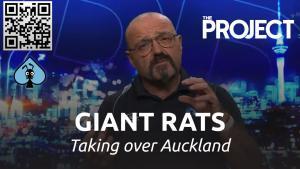 ACES pest control on TV3