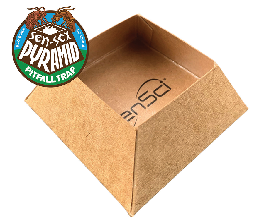 Pyramid bed bug trap bed bug trap