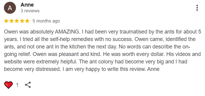 antsOCT258 antsOCT258