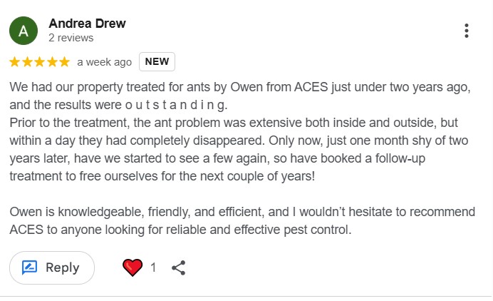 argentineantsOCT25 argentineantsOCT25