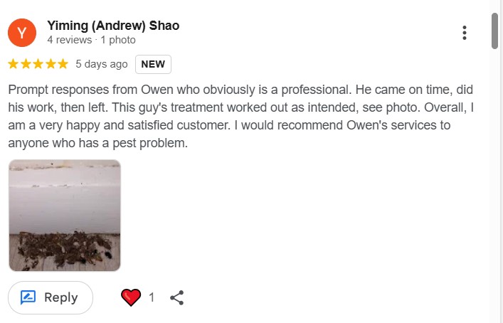 germancockroachesOCT25 germancockroachesOCT25