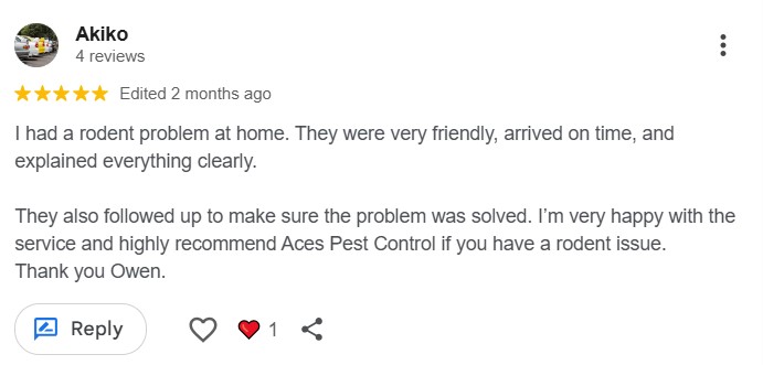 ratsSEPT25 rat extermination