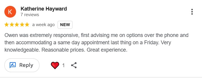 waspsOCT25 pest control wasps